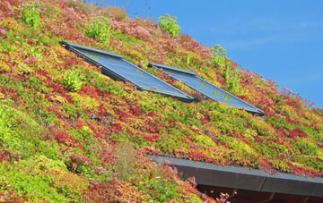 Cootham living roof systems